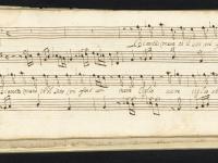 Bianca mano che il sen mi ferì