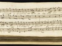 So che avete un cervello