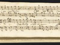 Cara e dolce libertà