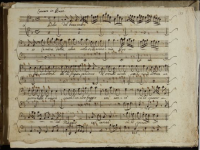 Dolce del bosco ombroso