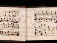 Se non ho più da goder