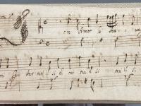 In Amor le stravaganze