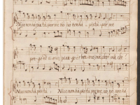 Prego ed amo, piango e bramo