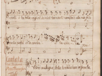 Vibrò maligna stella