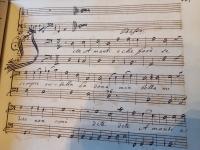 Dite amanti e che farò