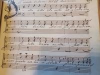 Della beltà d'un volto