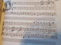 Del mio cor la cara pena