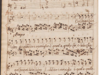 Steso tra i vaghi fiori