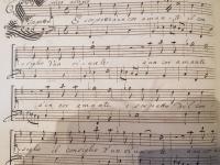 è sospetto a un cor amante