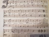 Frondi voi che v'aggirate