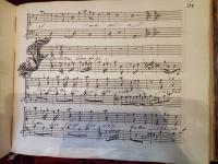 Farfalletta hor fuggi