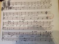 Ho pietà di chi ben ama