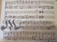 Mille cori in sen vorei