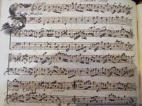 Sonata. Largo. Violino Solo