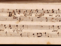 Benché Cupido mi sia crudele