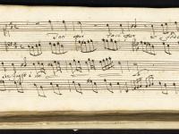 TAci pur e fido adora