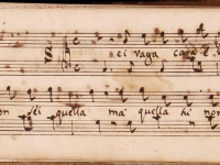 Sei vaga cara e bella