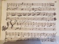 Non manca o luci belle