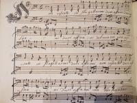 Non cessate in flagellarmi