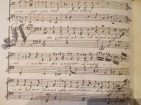 Non consolatemi ch’io più m’affanno