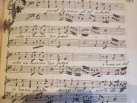 Picciol fiamma al sol rubata