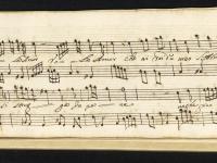 Vola amor che ai rai d'un viso