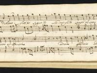 Chi d'amor fatt'è seguace