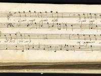 Tutta vaga tutta bella