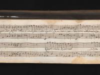 Questi sono i veri modi