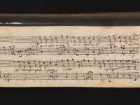 Neri sono e son di foco