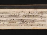 Non più vezzi, non più baci