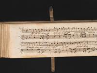 Che non può tiranno amor