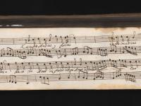 Entre músicas y flores