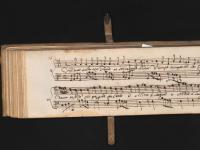 Haver suole ogni dama