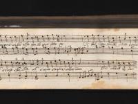 Per conoscere un bel volto