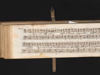 Non mi curo della vita