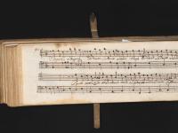 S'ingannò chi danno