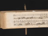 O quant'occhi di corteggiani