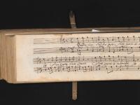 Quando cerco l'altrui pace