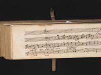 Vaghe schiere a cui ride nel viso