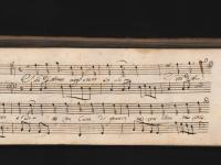 S'ho d'amar vogl'esser solo