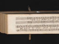 Intorno all'idol mio