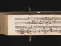 D'un bel crin fra ceppi d'oro