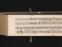 Svenati, ucciditi, ch'importa a me