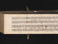 Nella selva d'un bel crine