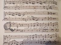 Quant'io sarò costante