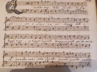 quanto mai satie sarete