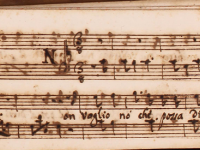 Non voglio nò che possa dirsi