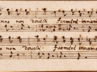 Tuo danno non dovesti farmene