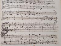 Son come farfalletta